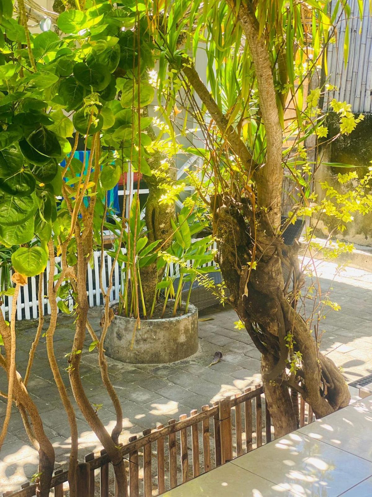 Tarci Bungalows Lembongan 외부 사진